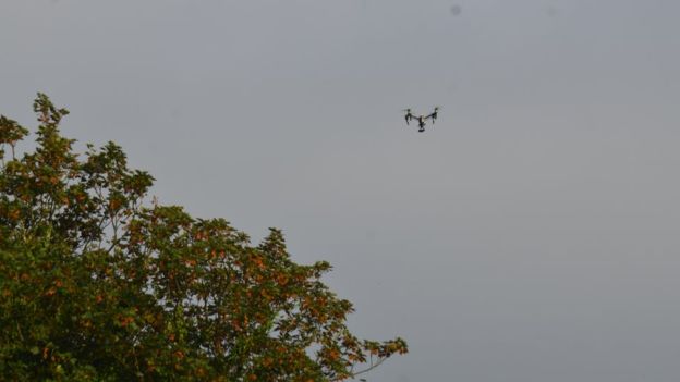DroneDJ DJI Inspire Hornets attack 1