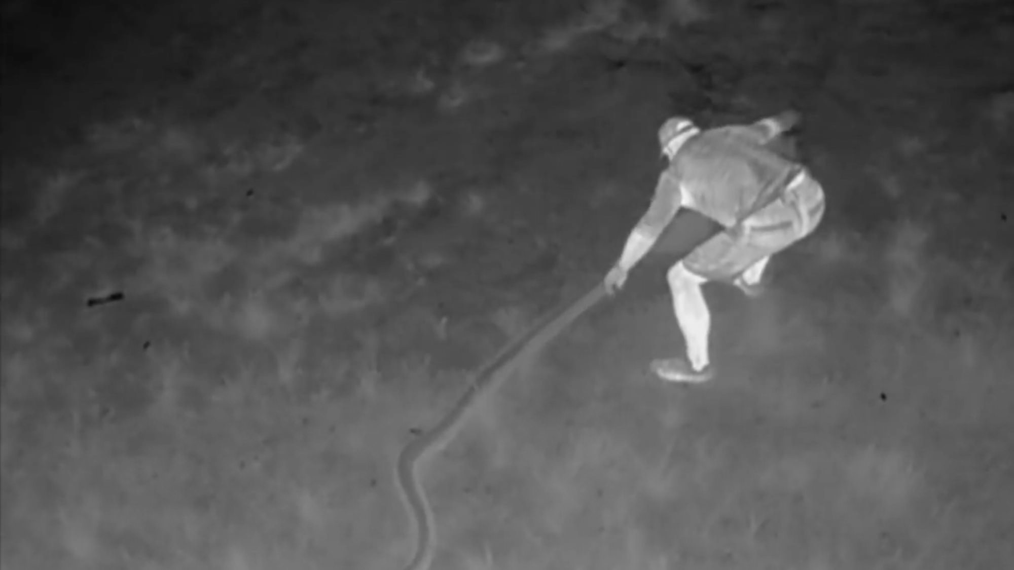 Snake hunters use infra-red drones to find invasive pythons in Florida ...
