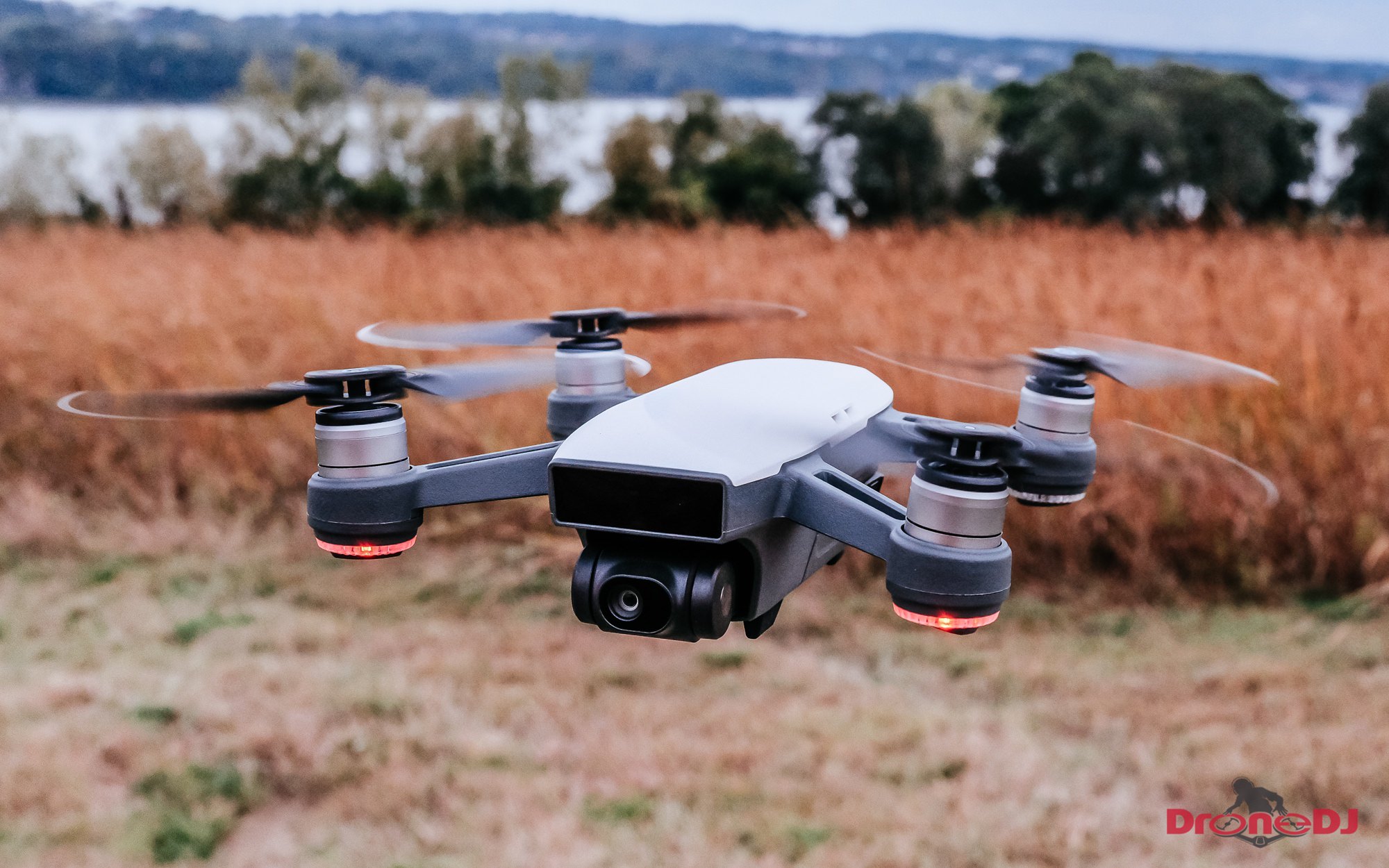 dji mini drone review