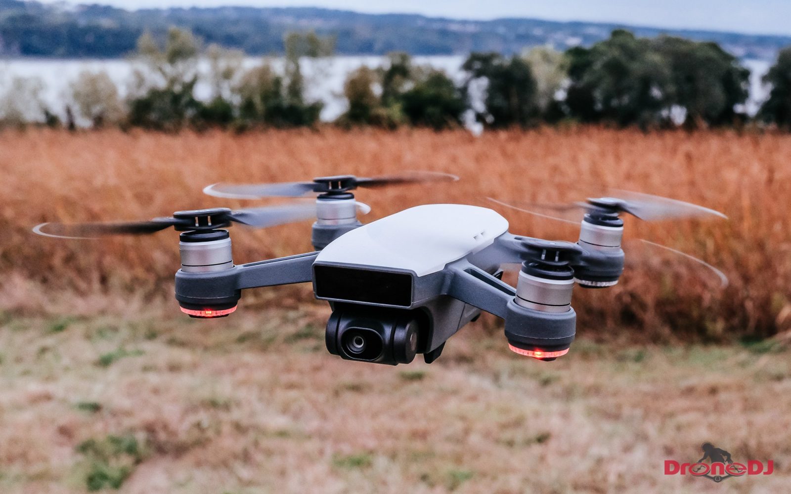 Sydamerika Intrusion forstene Review: The DJI Spark mini-drone packs a punch