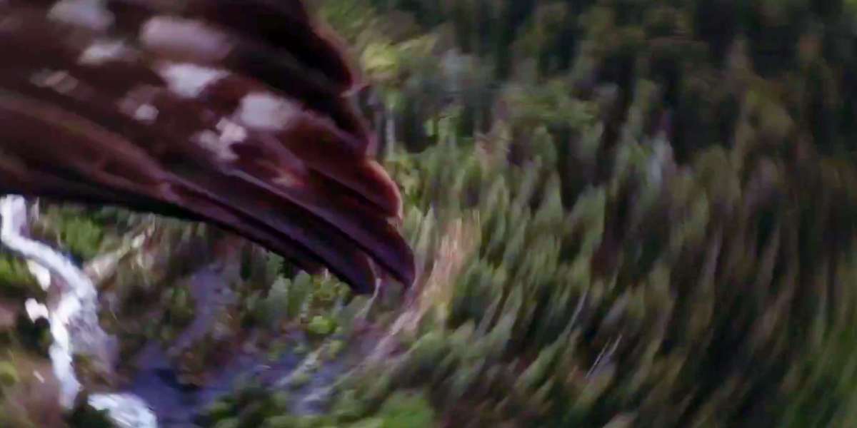 Eagle grabs drone mid-flight in the Swiss Alps! [video]
