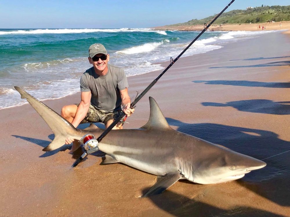 Drone fishermen are catching massive sharks by getting the bait as far as 1,000 feet away from the beach