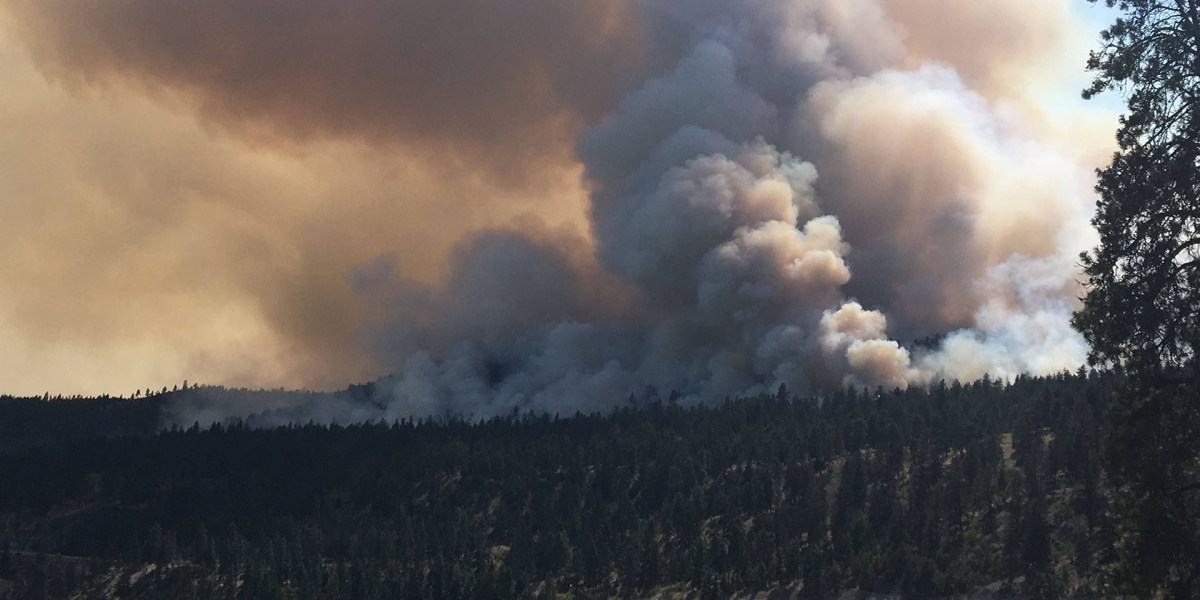 Drone spotted above B.C. Interior wildfire causes firefighting aircraft to divert