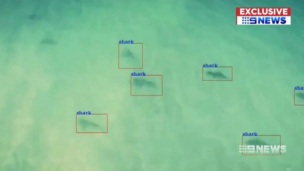 Little Ripper Lifesaver drone spots sharks with 90% accuracy, superior to the human eye.