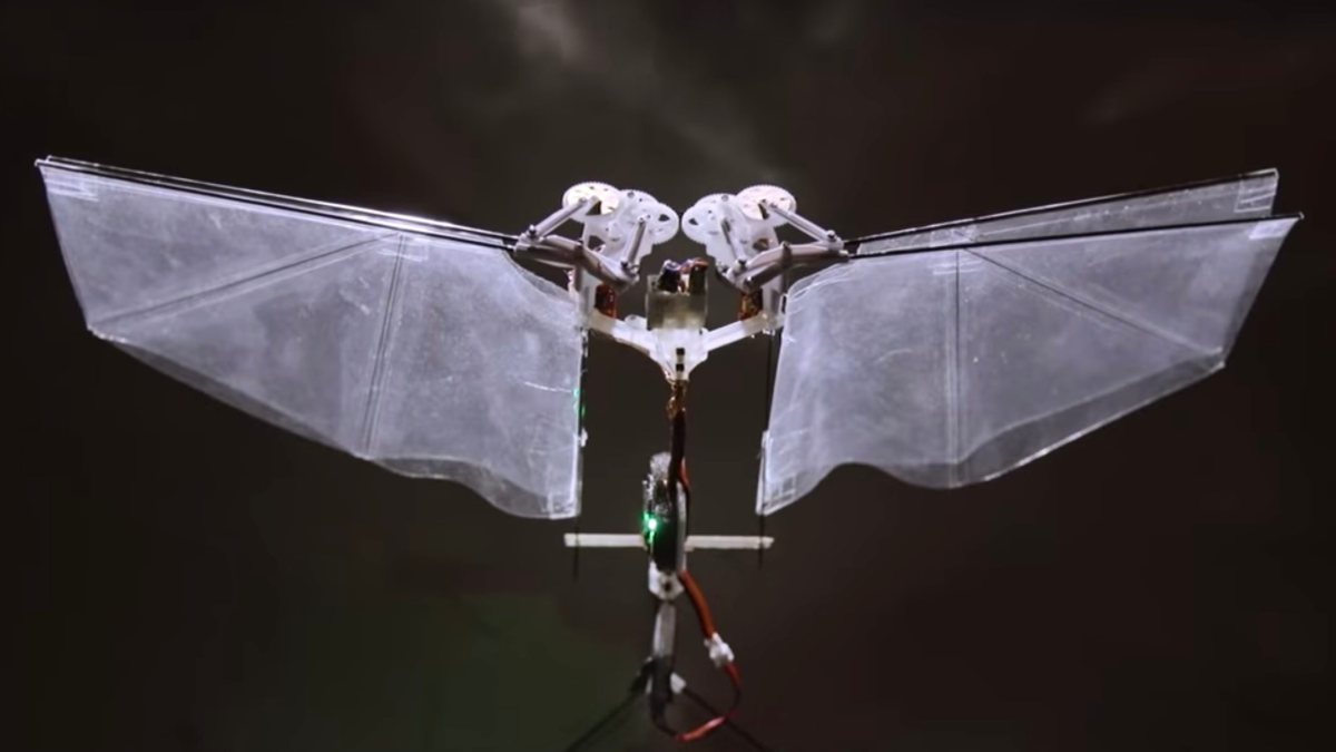 Insect-inspired flying robot, DelFly Nimble developed by Dutch University