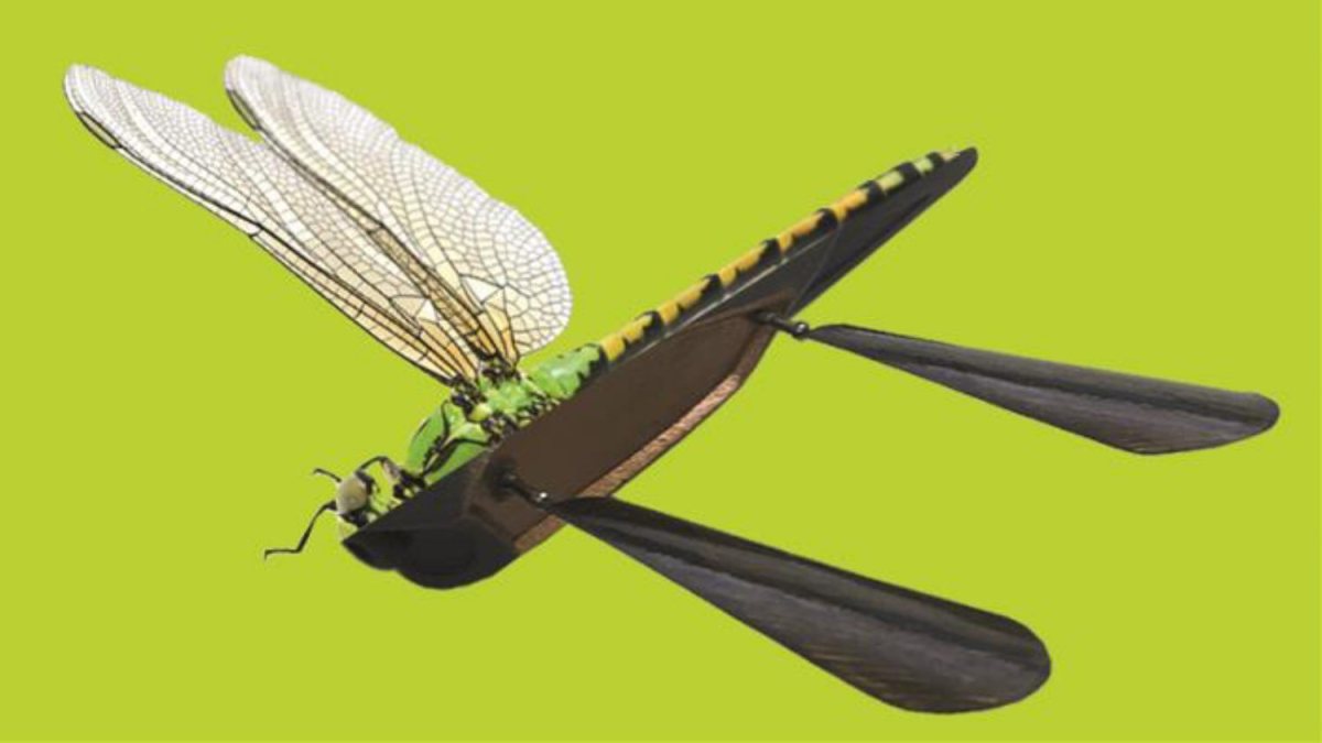 Skeeter drone inspired by dragonfly’s turbulence-resistant wings