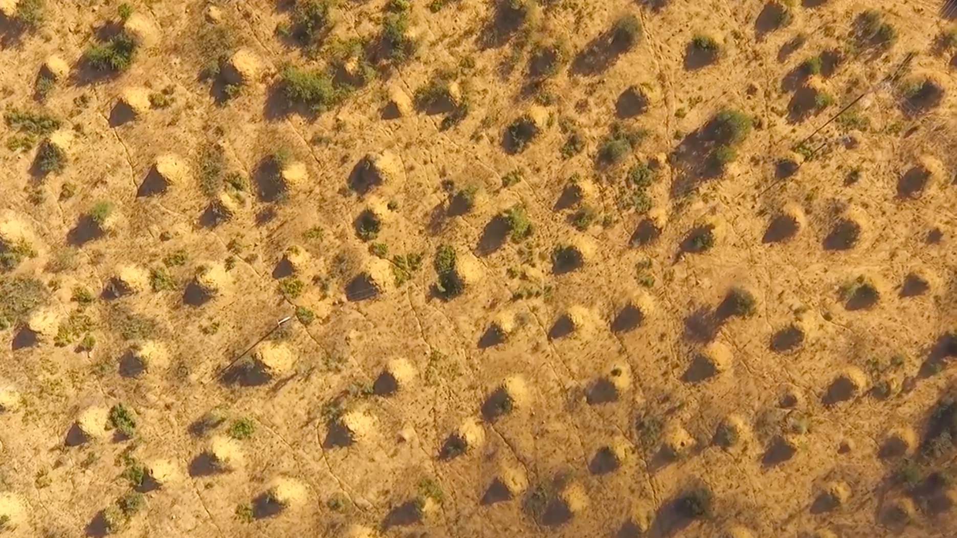 200-million-termite-mounds-cover-an-area-the-size-of-britain-dronedj