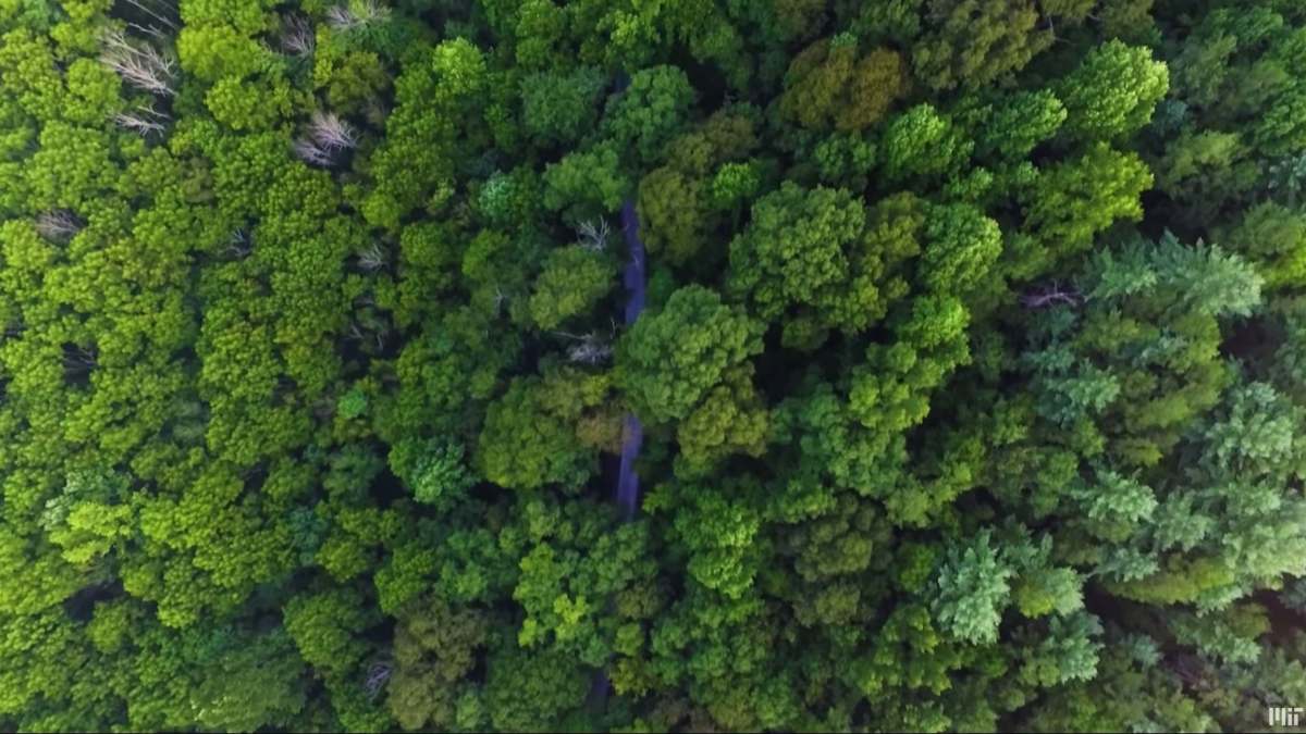 Fleets of drones may come to the rescue of lost hikers
