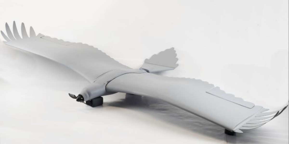 Bird-like drone flaps its wings and uses thermals for lift
