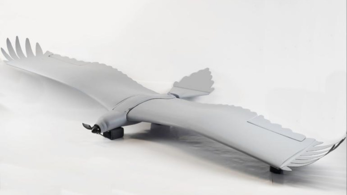 Bird-like drone flaps its wings and uses thermals for lift