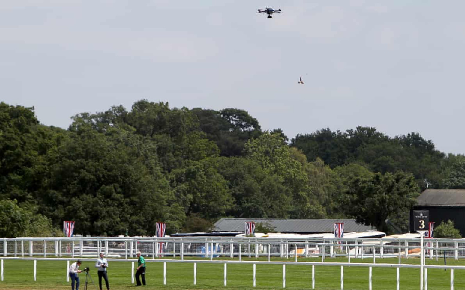 drone pilots horse racing