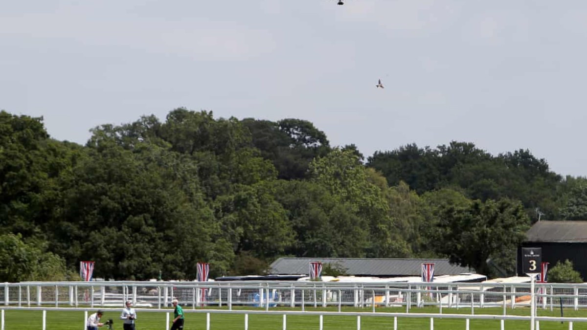 drone pilots horse racing