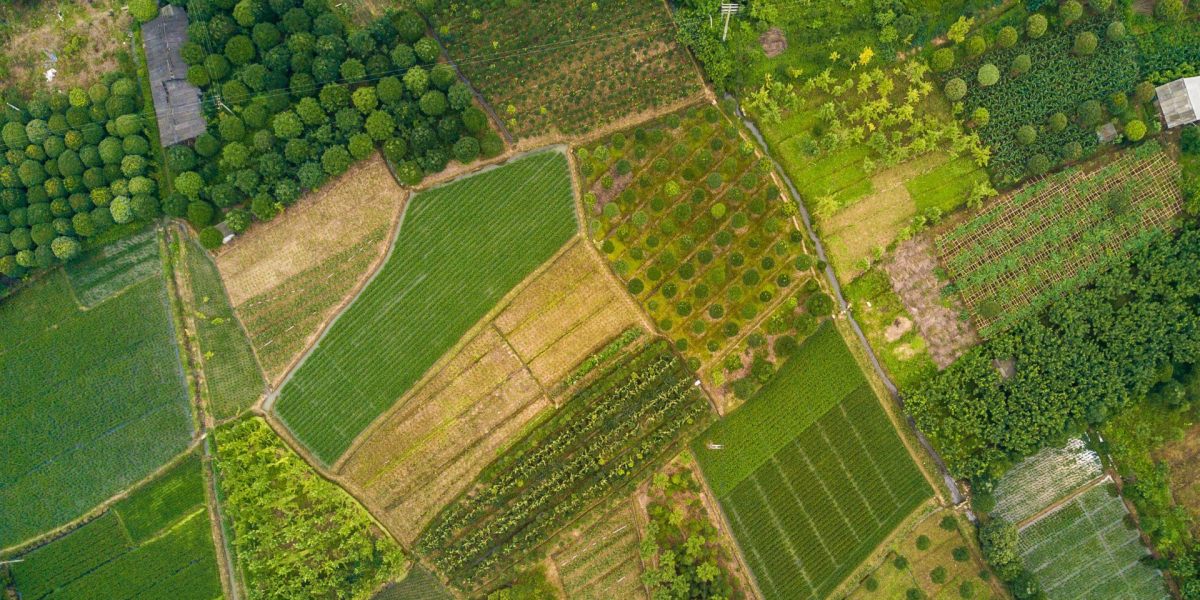 Over 400 DJI drones in world's largest agricultural drone fleet