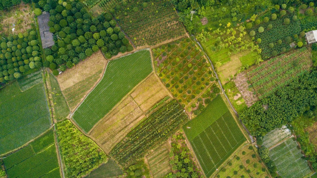 Over 400 DJI drones in world's largest agricultural drone fleet