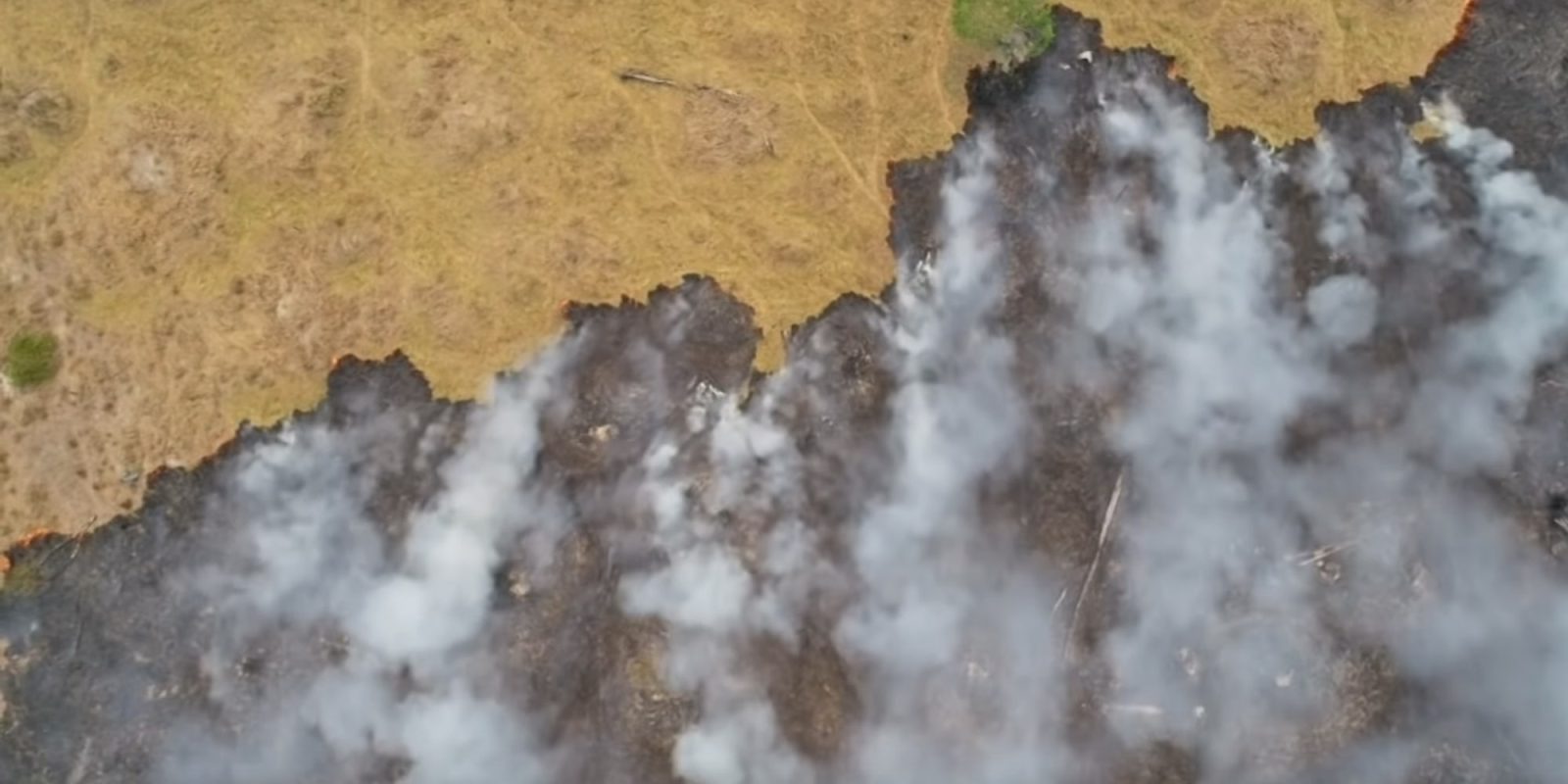 Drone-video-amazon-rain-forest-fire.jpg