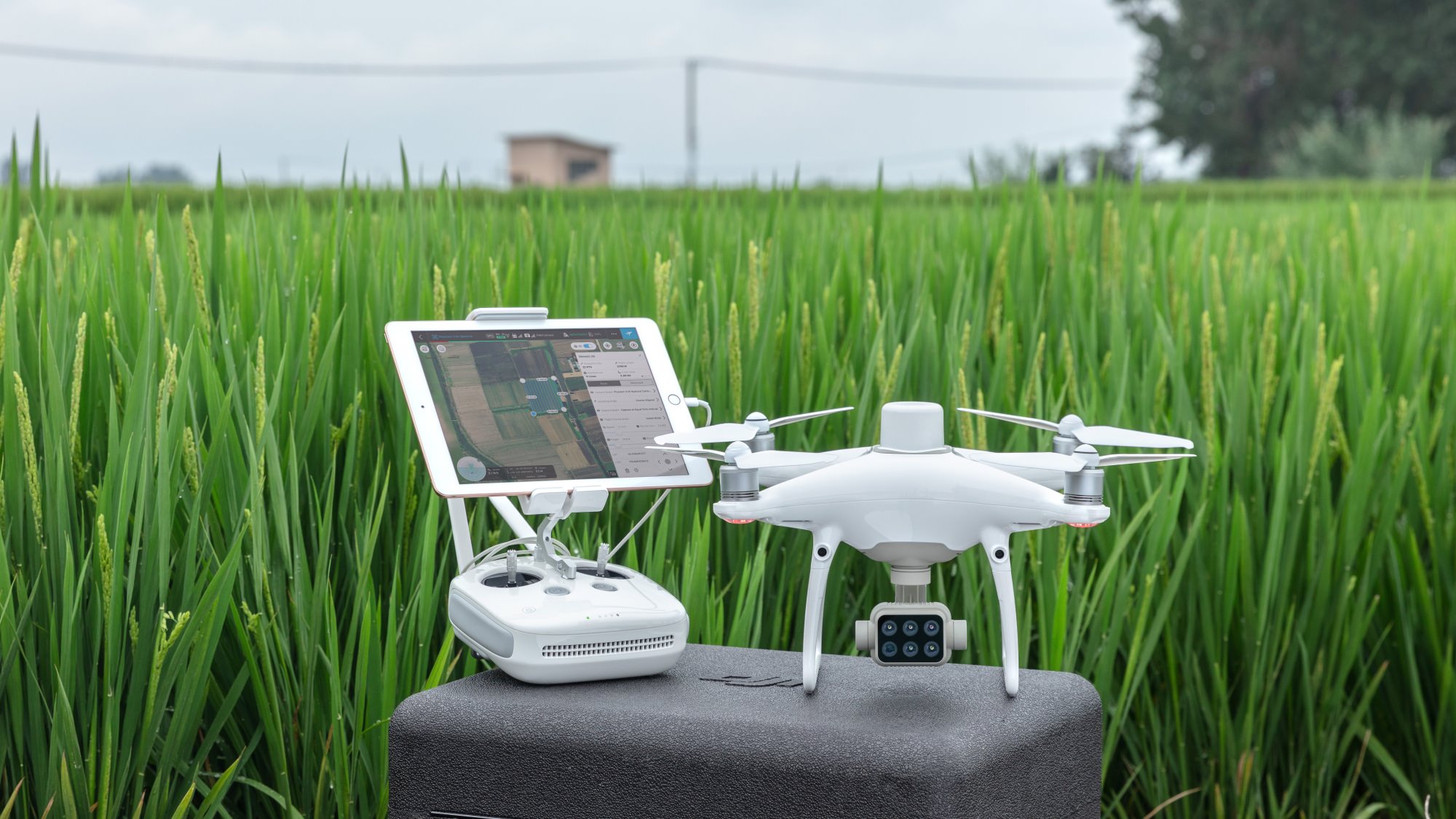 DJI P4 Multispectral for precision agriculture and land management