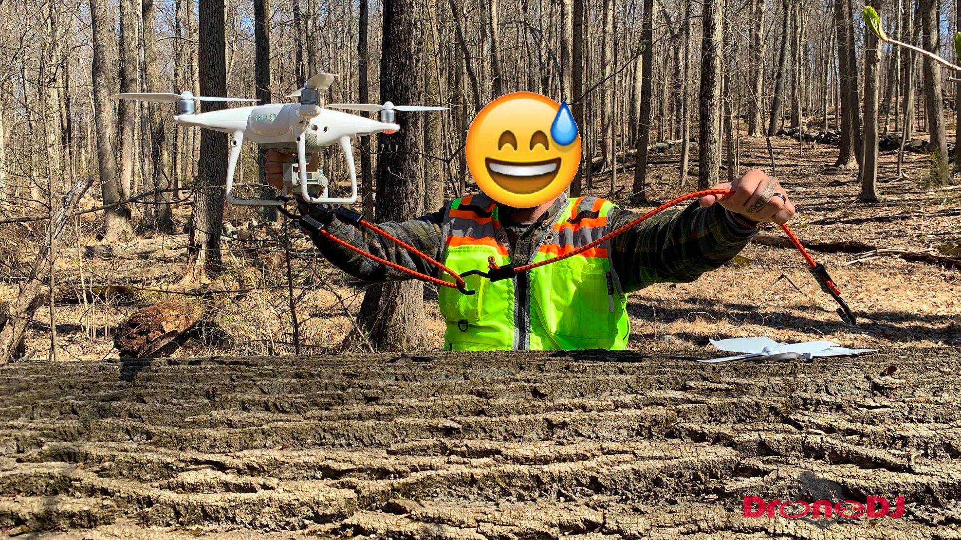 Drone rescue operation: two DJI Phantom 4's stuck in tall oak trees