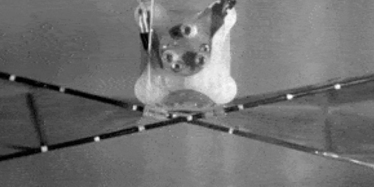 Engineers bird four-winged drone