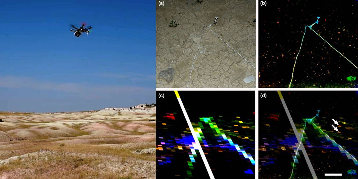 Laser drone gemstones fossils