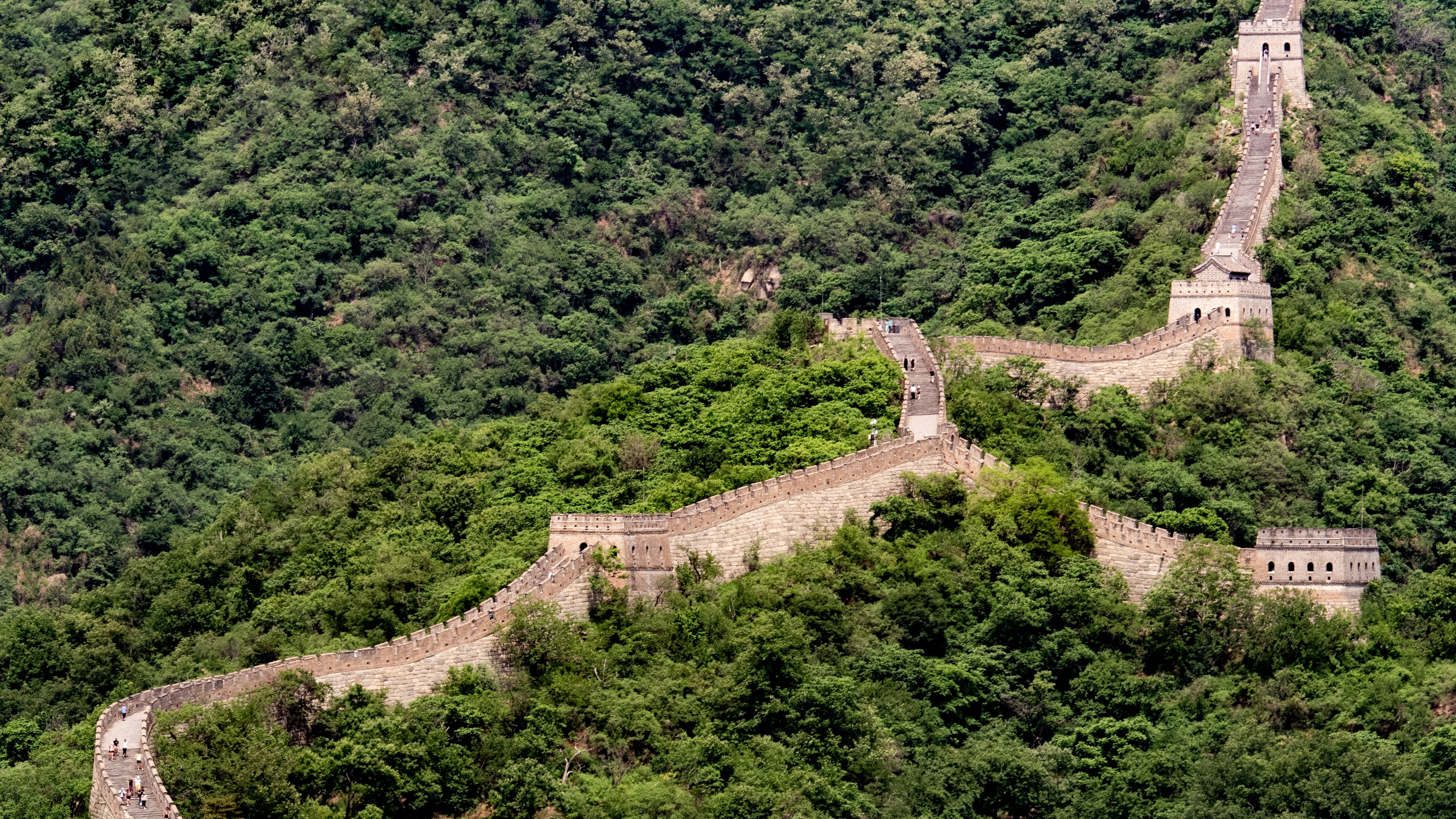 Explainer: What Is the 'Great Green Wall' of China?