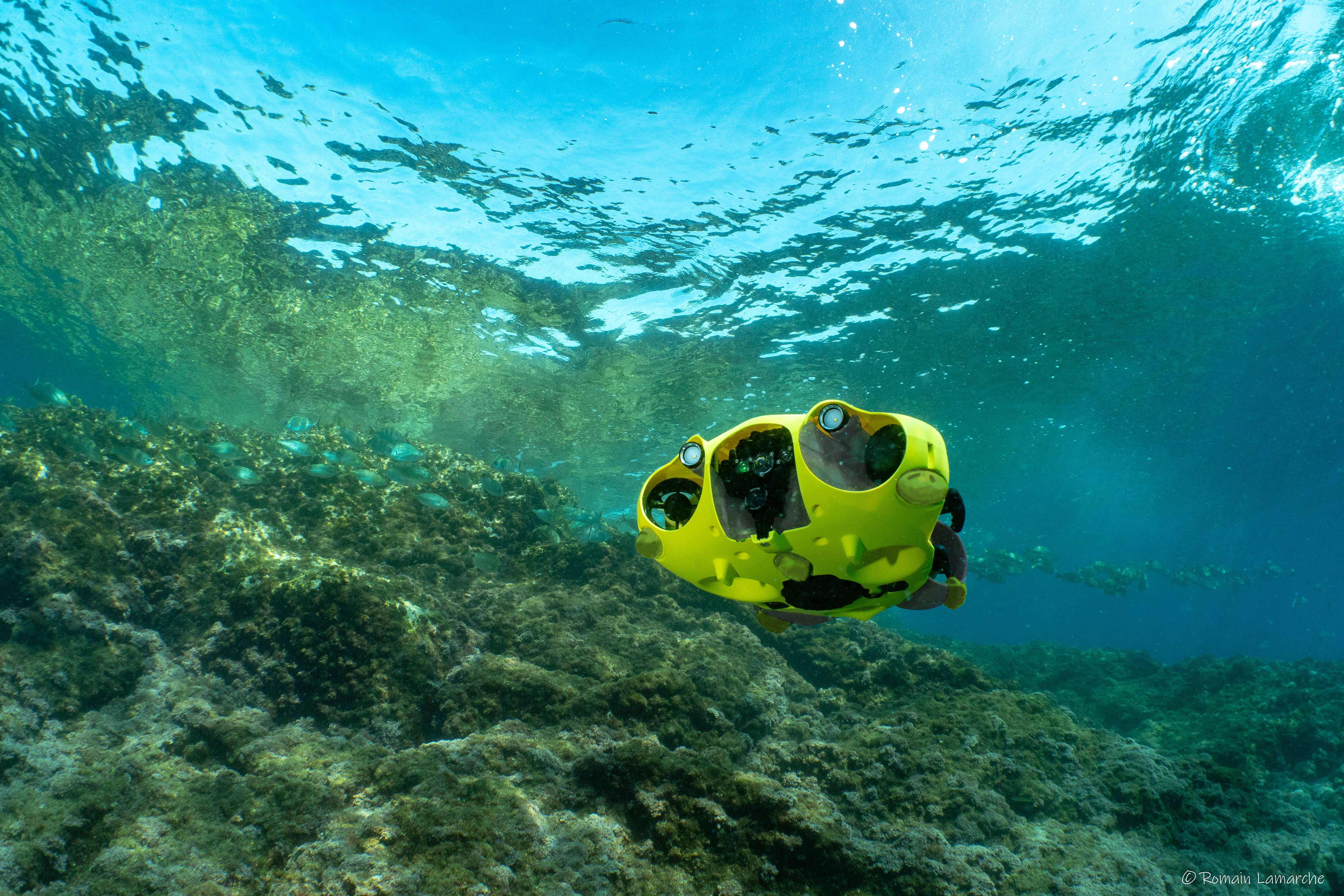 la seguridad Párrafo Descuidado iBubble automated marine drone follows and films a diver's every move