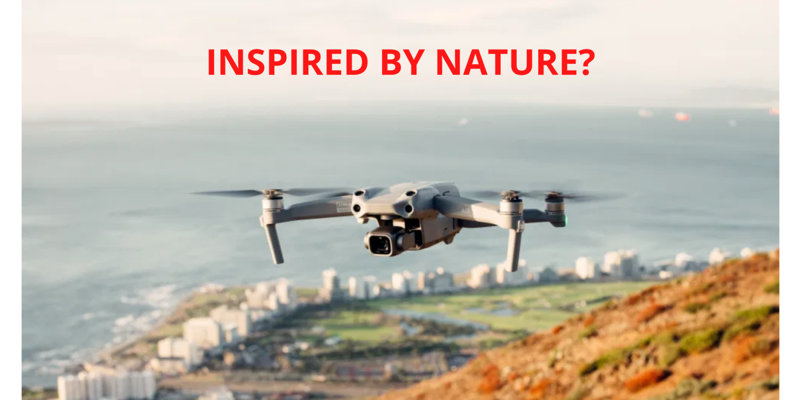 Biomimicry How certain drone features mimic nature DroneDJ