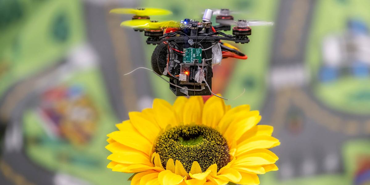 pollination drones bees
