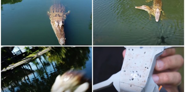 croc drone video
