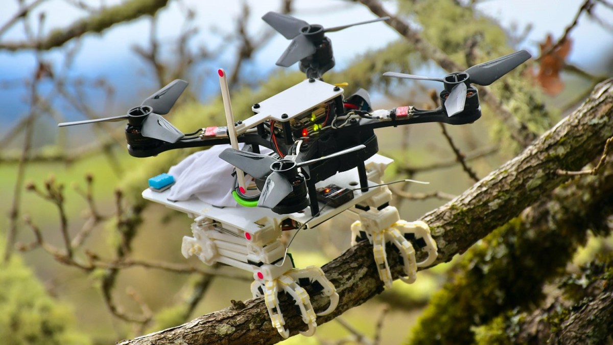 Stanford drone bird perch