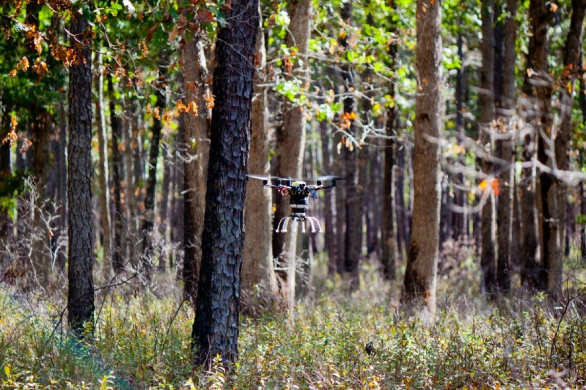 Treeswift привлекает 4,8 млн долларов для сбора данных о лесах с помощью дронов LiDAR