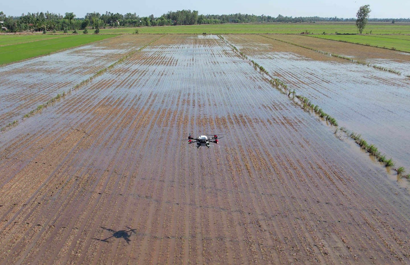 agriculture drone vietnam rice farming