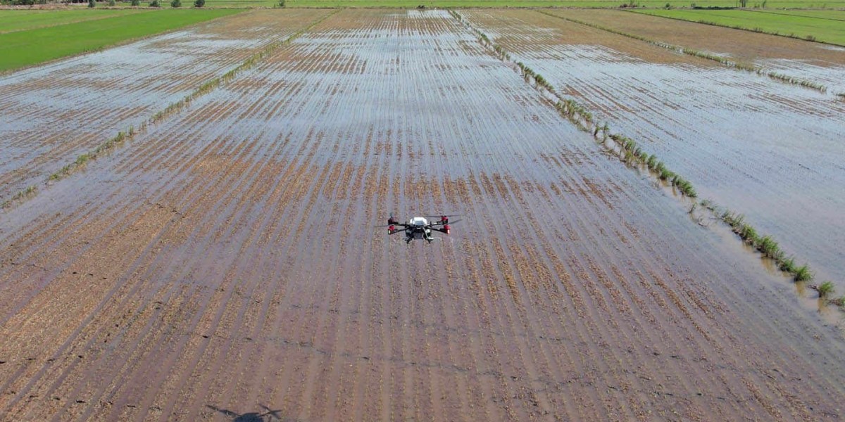agriculture drone vietnam rice farming