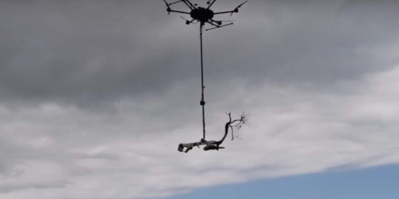 Chainsaw-packing drone helps Hawaii Island botanists battle ROD