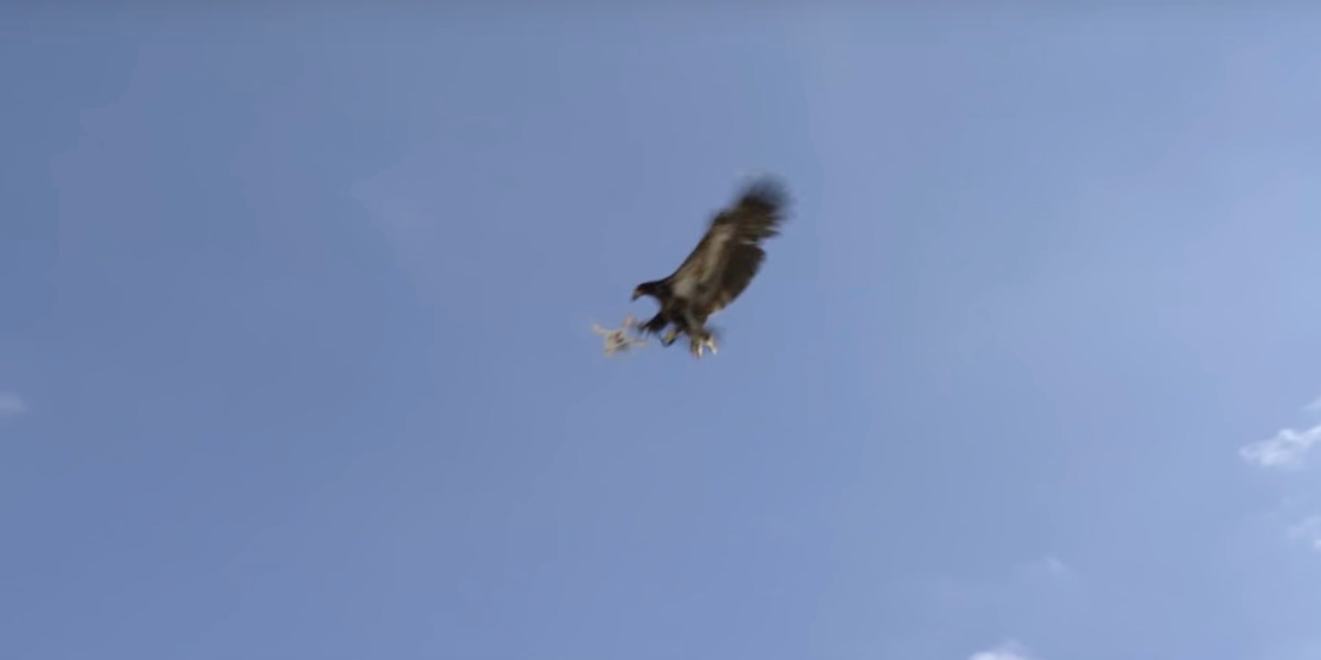 Geneva eagles drone