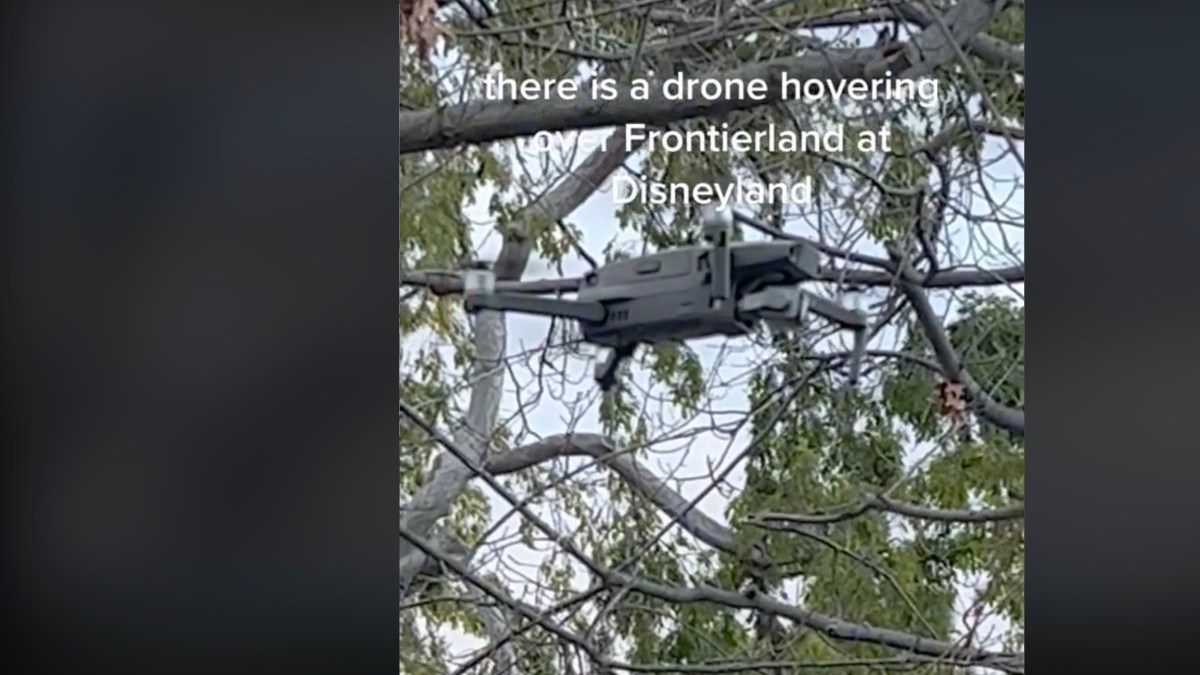 Disneyland drone