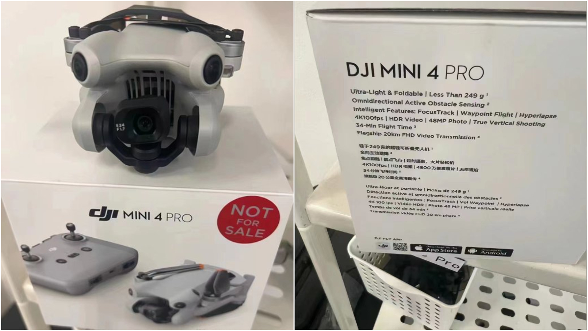 Dji go deals 4 mavic mini