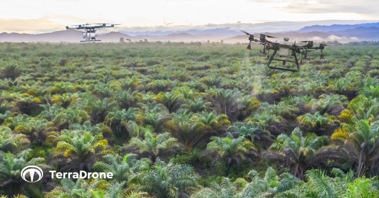 Terra Drone agri