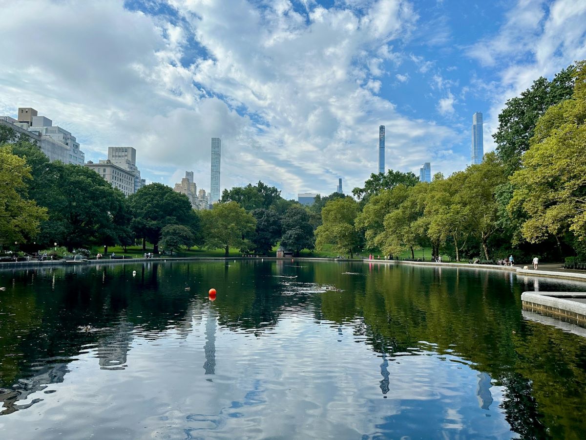 central park drone police